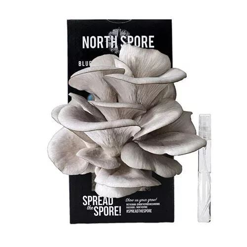 Spray and Grow Mushroom Growing Kit by North Spore